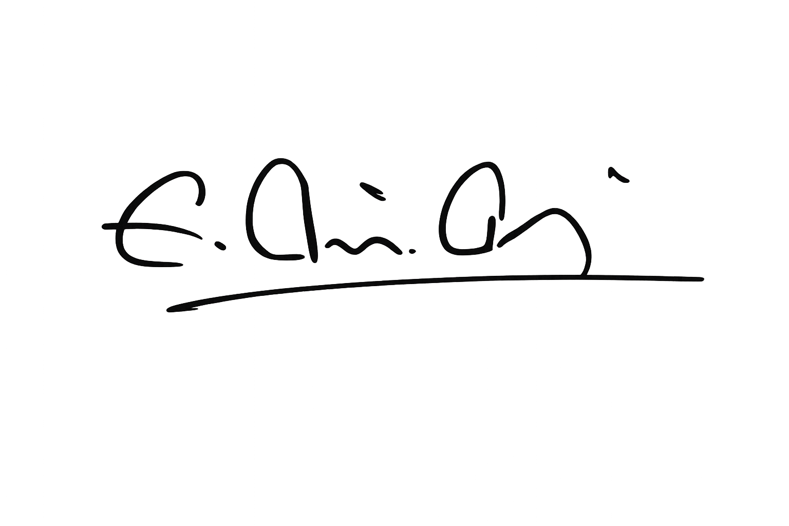 Managing Director Signature